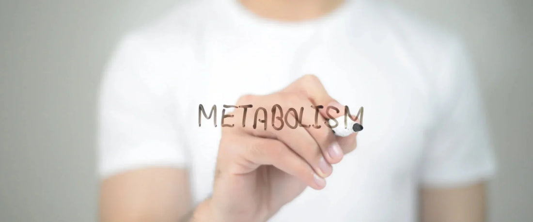 7 Clear Signs Your Metabolism Is Slow - 100calsnacks