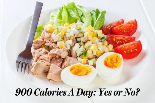 900 Calories a Day - 100calsnacks