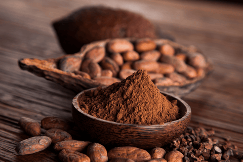 Organic Cocoa Powder