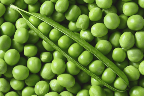 Pea Protein: What It Is?