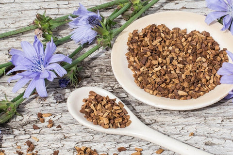 What is Chicory Root Fiber?