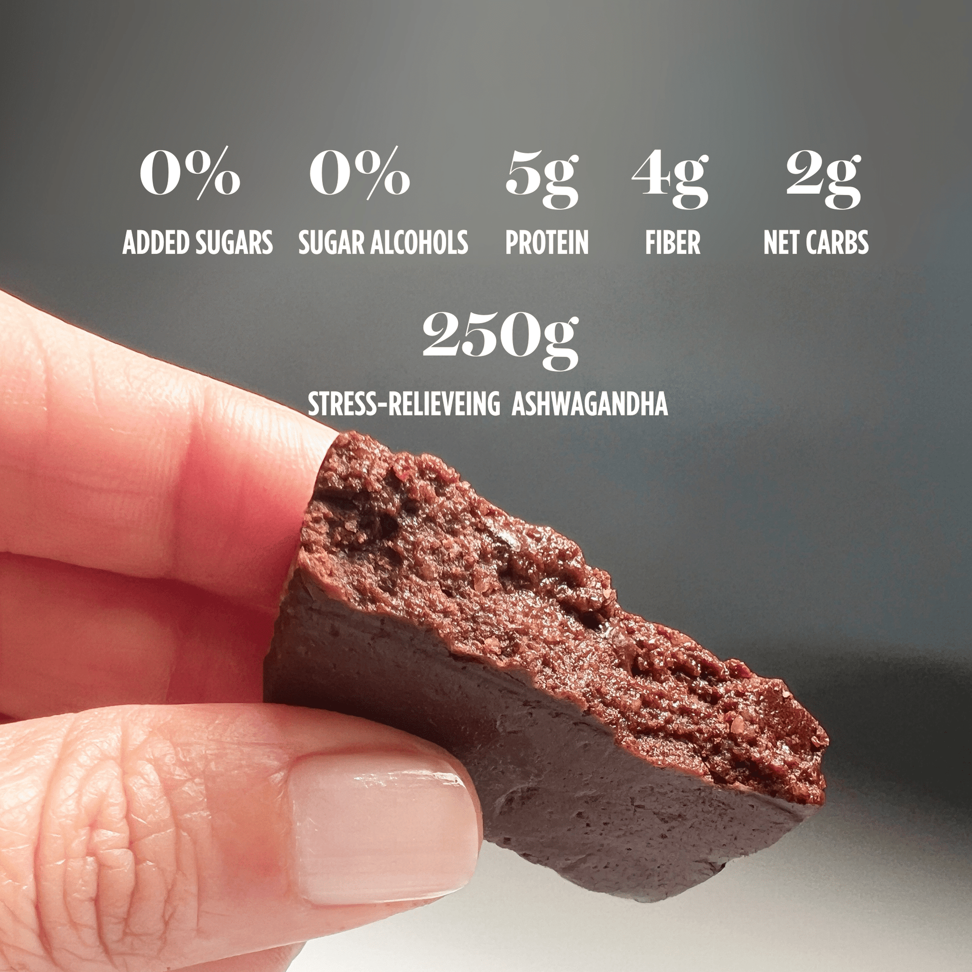 Chocolate Brownie Protein Bars - 100calsnacks